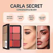 12-in-1 Pro Face Palette – Concealer, Blush, Contour & Highlight Kit