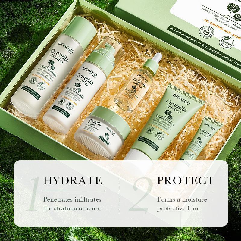 Set of skincare products in a box with green and white packaging on a natural background