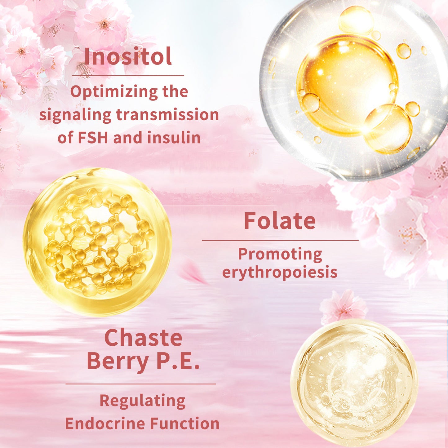 Glow+ Capsules – Skin Nourishing Vitamins for Women