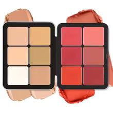 12-in-1 Pro Face Palette – Concealer, Blush, Contour & Highlight Kit