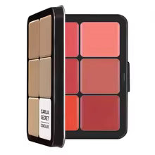 12-in-1 Pro Face Palette – Concealer, Blush, Contour & Highlight Kit