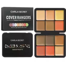 12-in-1 Pro Face Palette – Concealer, Blush, Contour & Highlight Kit